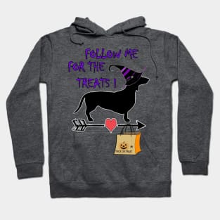 Dachshund Halloween Shirt Trick & Treat Funny Weiner Dog, FOLLOW ME FOR THE TREATS, Funny Dog Gift Products Hoodie